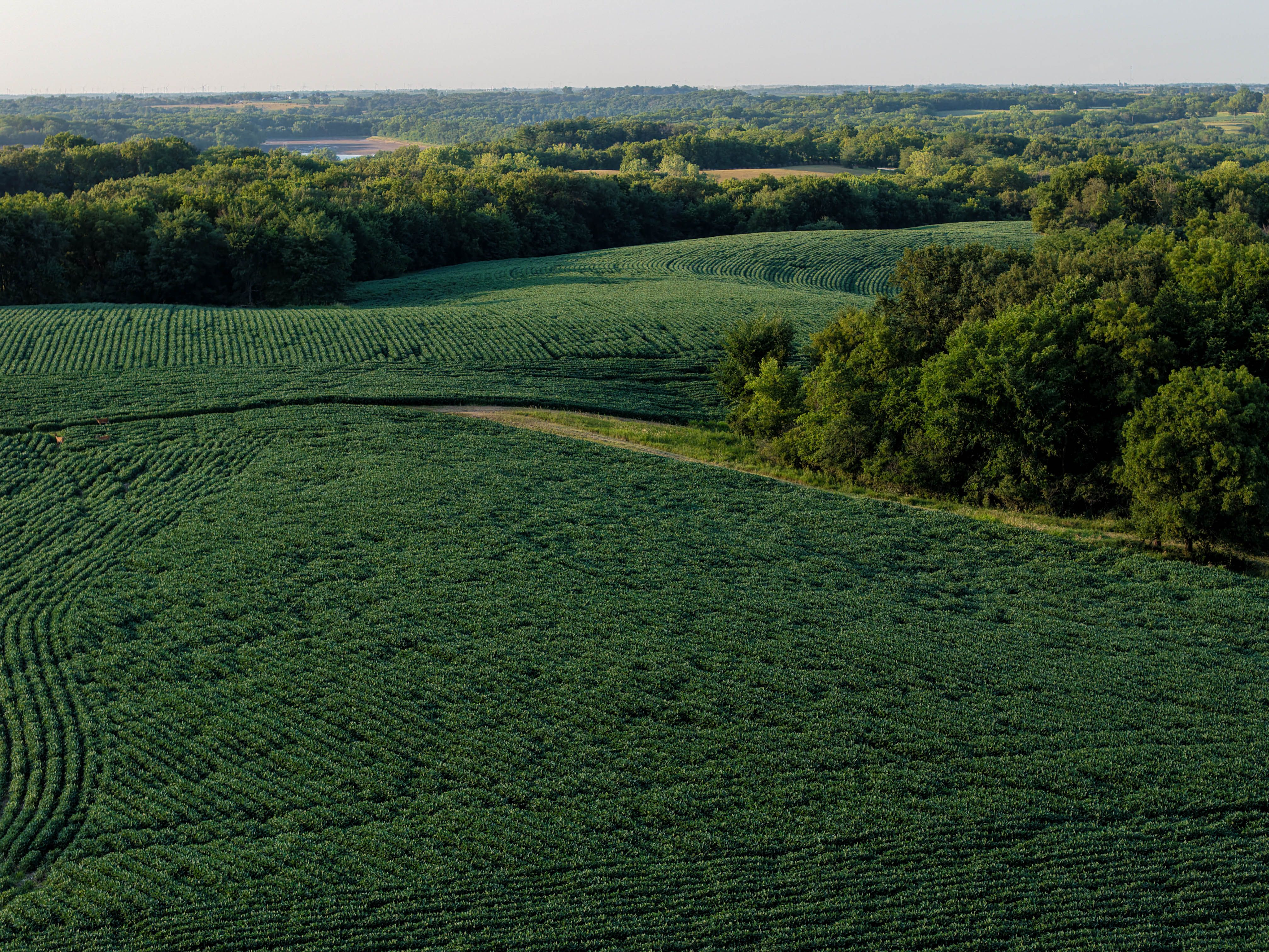 Listing Photo: Whitetail Hunting Farm Mahaska County Iowa-147
